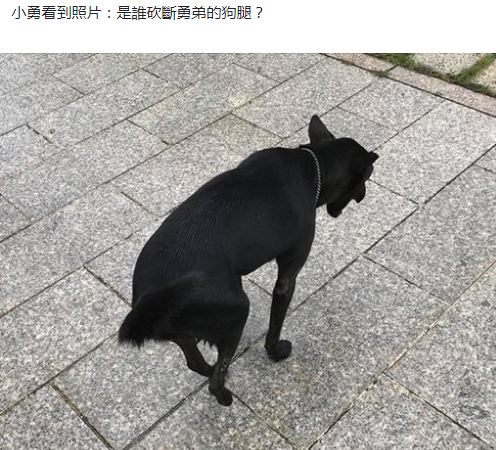 ⭐稳定包售后的
WeChat老微商号
去哪买