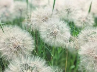 ⭐批量出售高质量的
飞机申诉号
怎么买成品号
